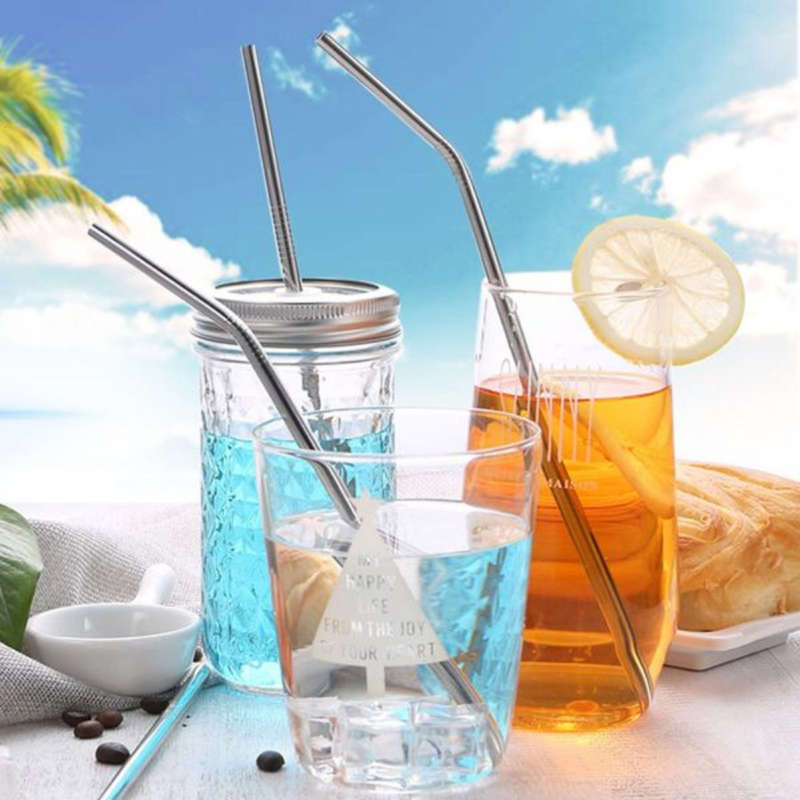 Stainless Steel Straws - 4 Piece