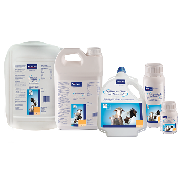 Virbac OptiLumen Sheep and Goats + Cu (Prices from)