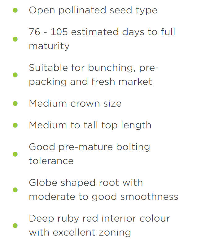Globe Dark Red Beetroot Seeds (Prices From)