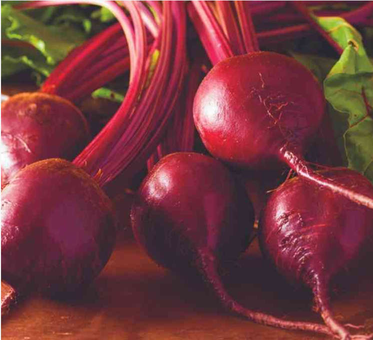 Globe Dark Red Beetroot Seeds (Prices From)