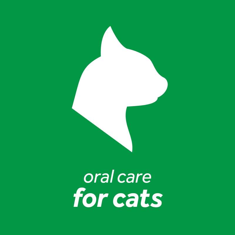 TropiClean Fresh Breath Oral Care Clean Teeth Gel for Cats 59ml