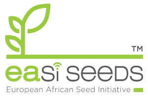 Globe Dark Red Beetroot Seeds (Prices From)