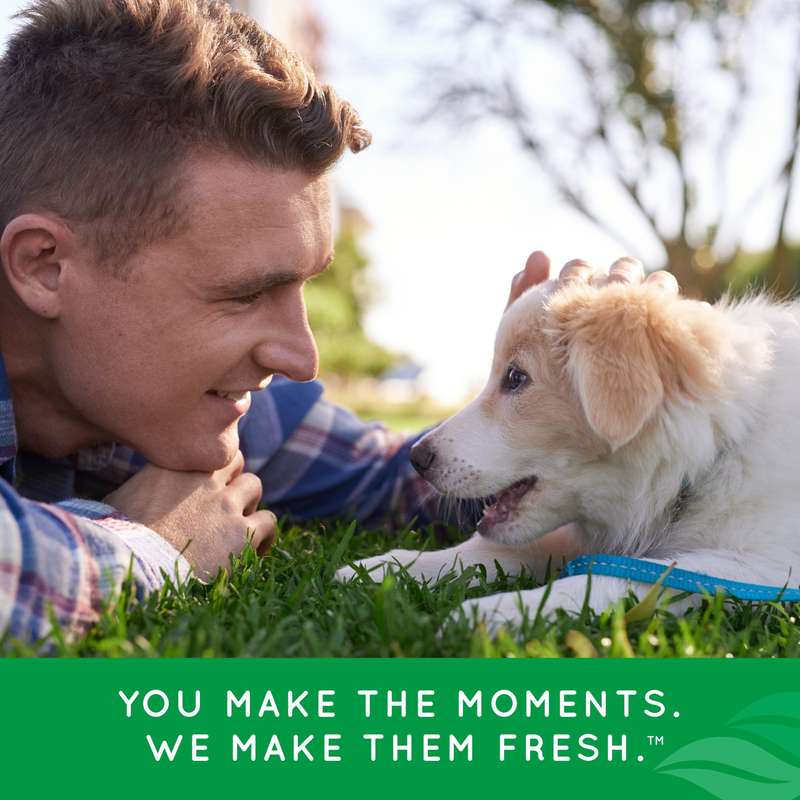 Tropiclean Fresh Breath Dental Health Solution Puppy 473mL