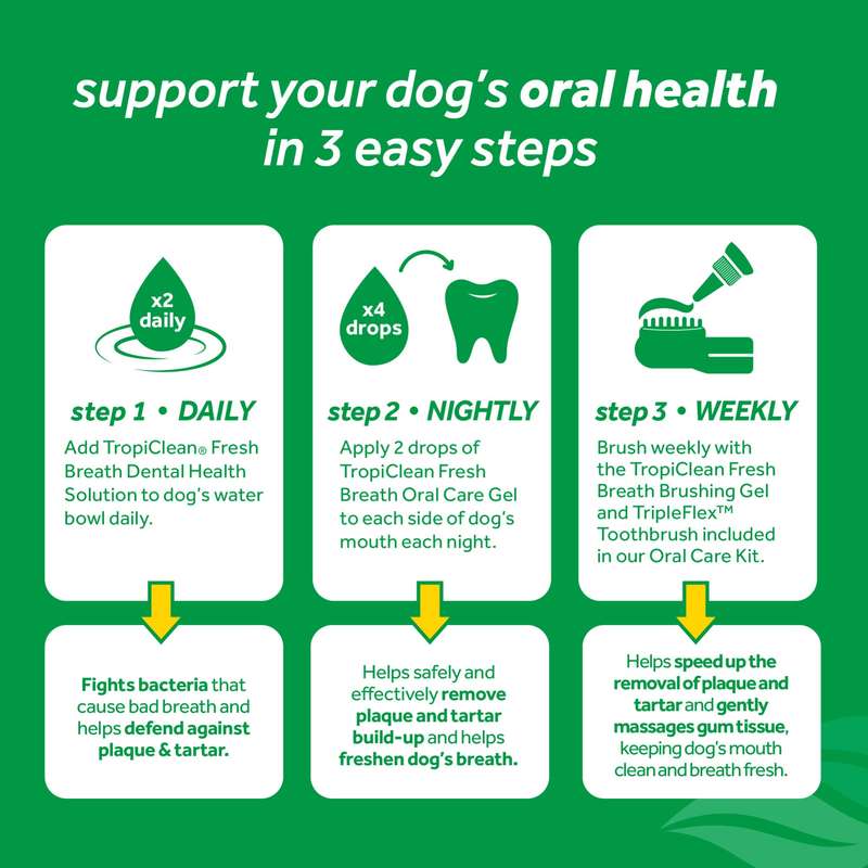 The Fresh Breath Oral Care Kit for Small & Medium Dogs