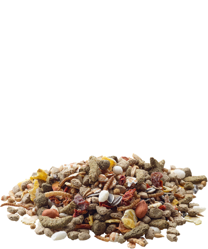 Versele-Laga Nature Rat  Food (700g)