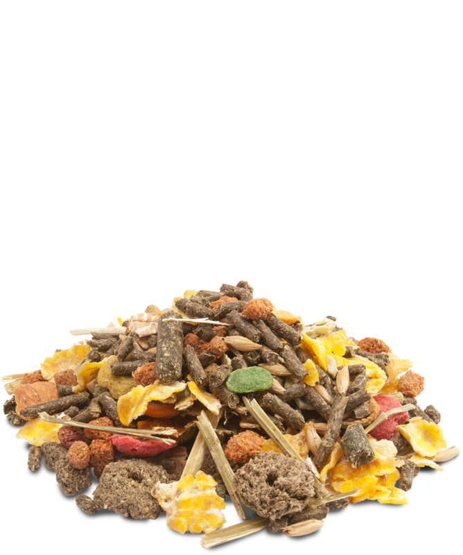 Versele-Laga Crispy Muesli  Guinea Pigs (Cavia Crispy) 1kg