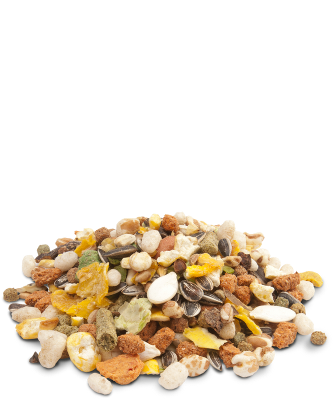Versele-Laga Crispy Muesli  Hamsters & Co (Hamster Crispy) 1kg