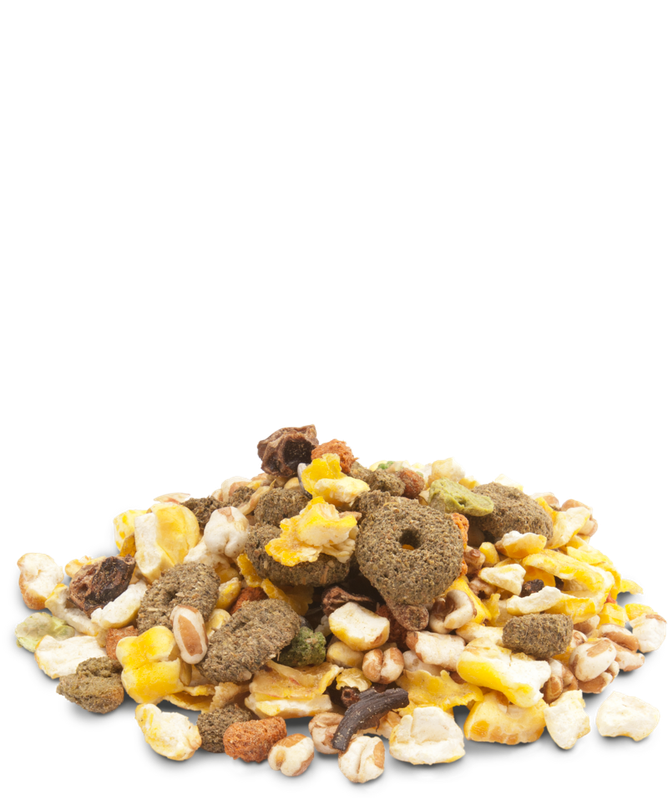 Versele-Laga Crispy Snack Popcorn 650g