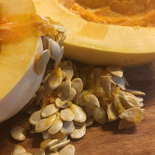 Pumpkin Seed. (Prices From)