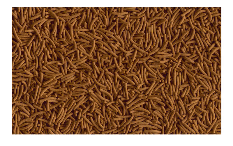 Tetra Cichlid XL Sticks (Prices from)