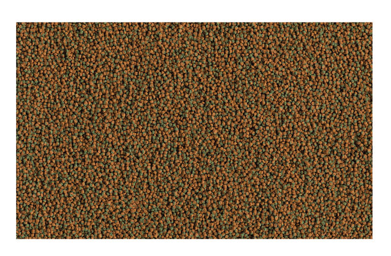 Tetra Cichlid Colour Mini Pellets- 170 g