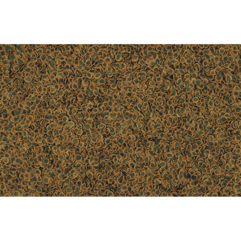 TetraPRO Vegetable / Algae Crisps - (Prices from)