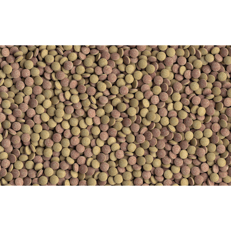 Tetramin TabiMin (Prices From)