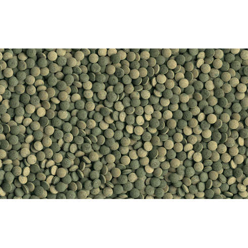 Tetra Pleco Tablets - 120S