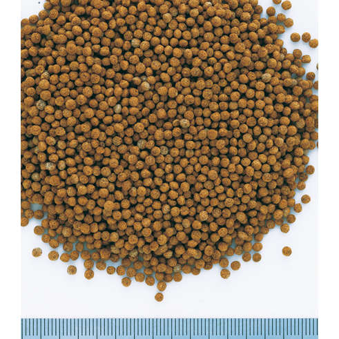 Tetra Goldfish Granules (Prices From)