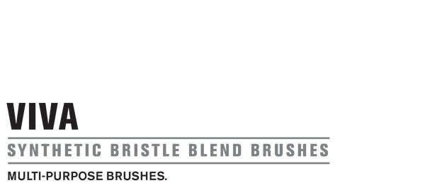 Viva Paint Brush Range (Prices from)