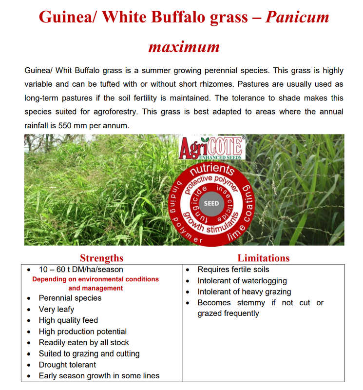White Buffalo / Guinea Grass - (Coated) 20kg