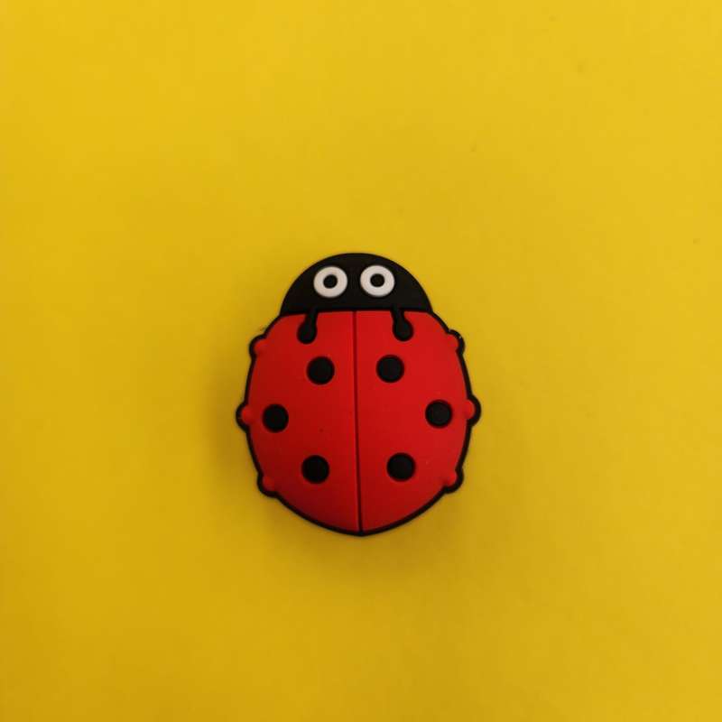 Ladybird