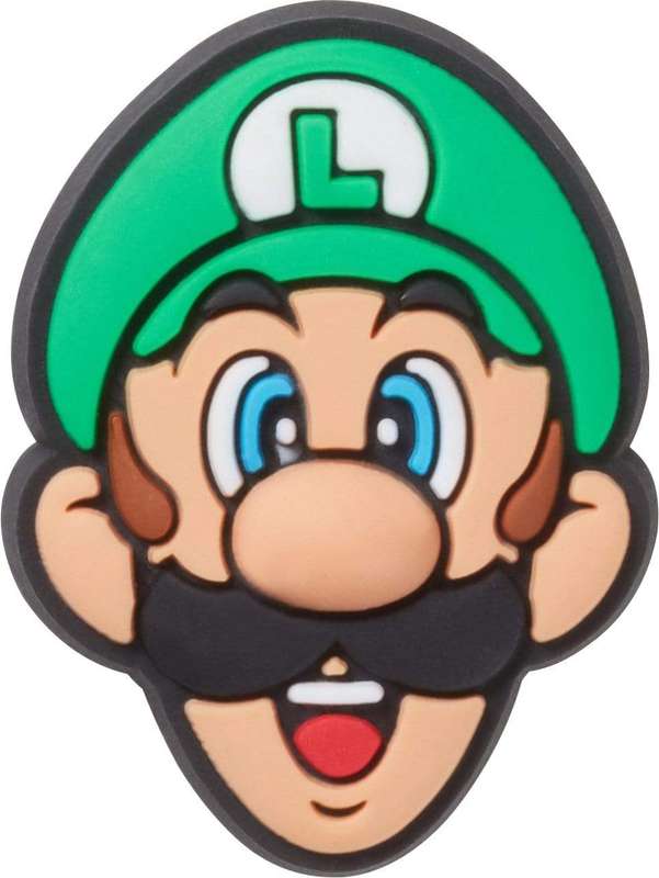 Mario Brothers Luigi