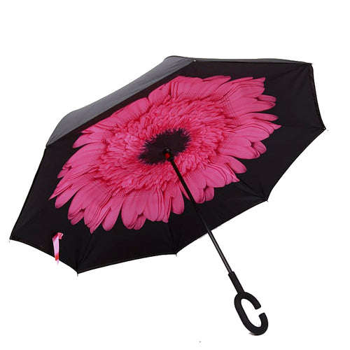 Colorful Inverted Umbrellas