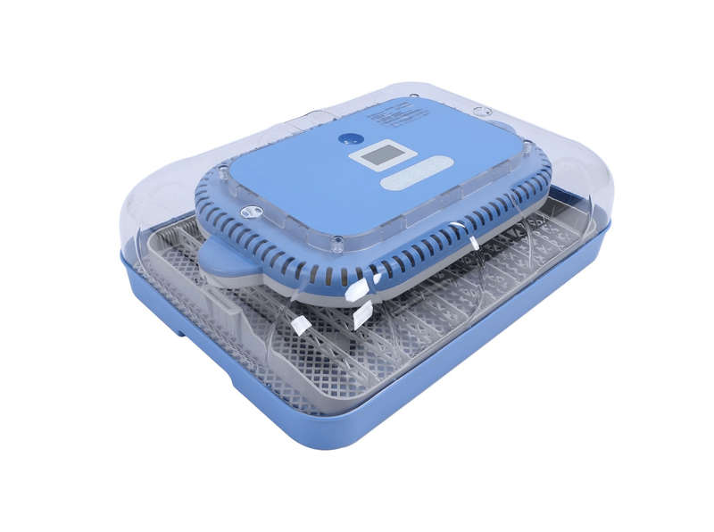 70 EGG AUTOMATIC INCUBATOR WITH HUM CONTROL- DUAL VOLTAGE