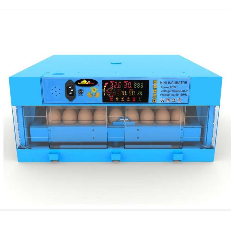 60 EGG INCUBATOR - DUAL VOLTAGE