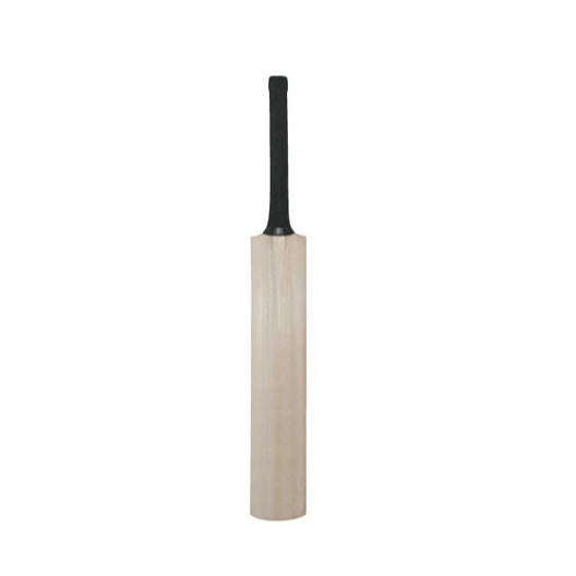 Autograph Cricket Bat