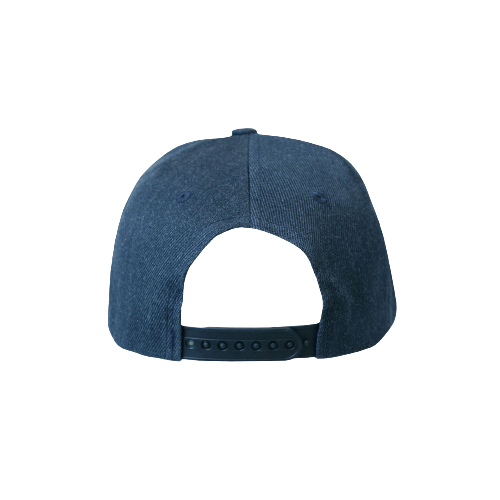 Washington Sports Cap