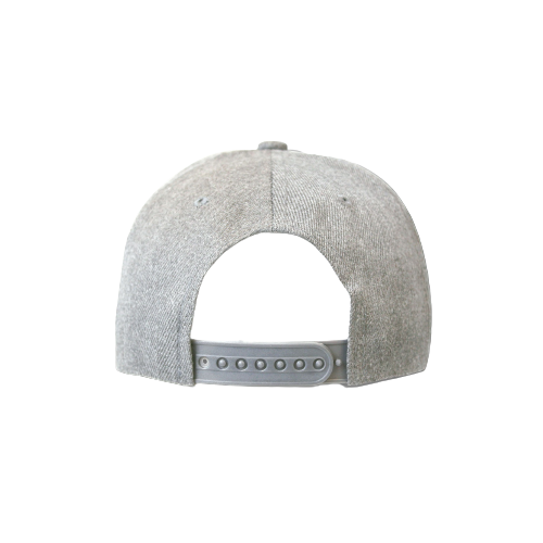 Washington Sports Cap