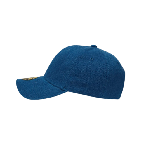 Washington Sports Cap