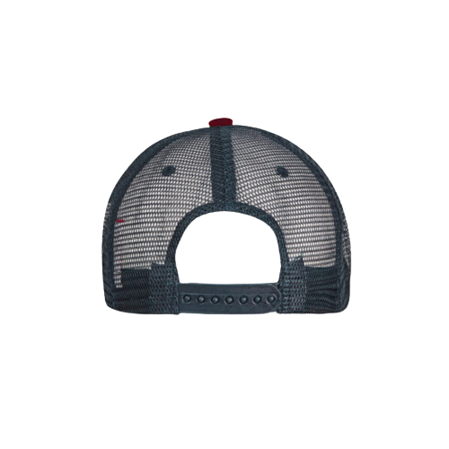 Three-Toned Trucker Cap