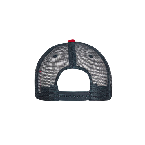 Three-Toned Trucker Cap