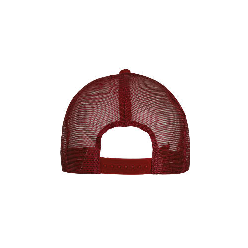 Two-Toned Trucker Cap