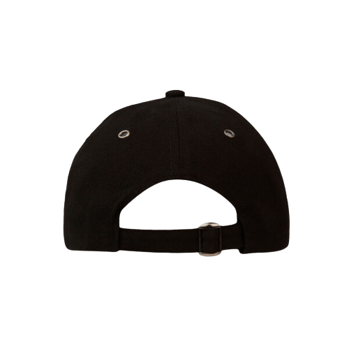 Boston Pro Sports Cap