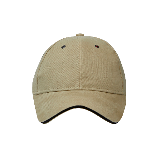 Boston Pro Sports Cap