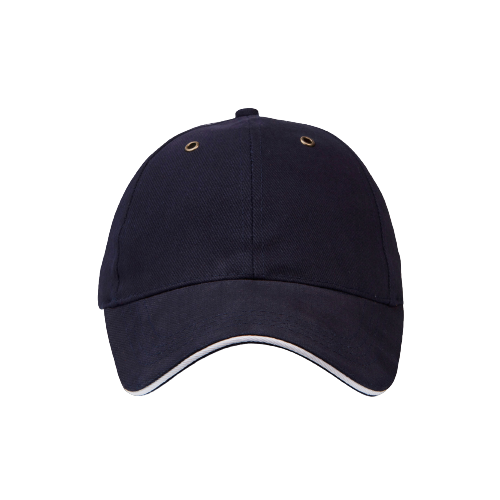 Boston Pro Sports Cap
