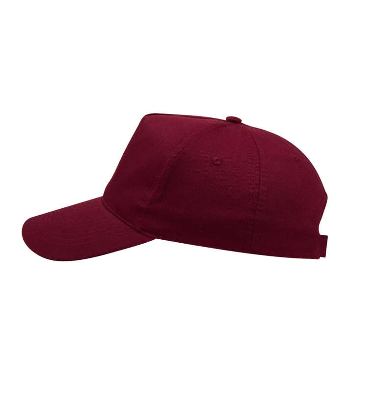 Pro 5 Panel Cap
