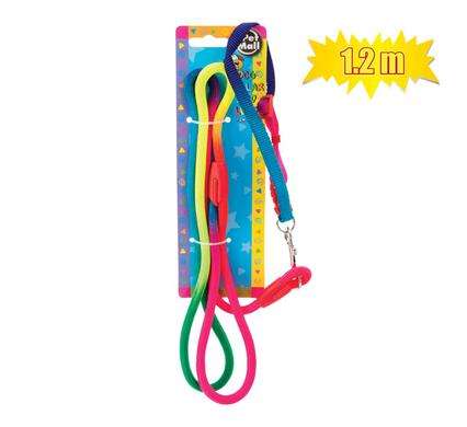 Pet Dog Collar and Rainbow Leash Set 1.2mx6mm