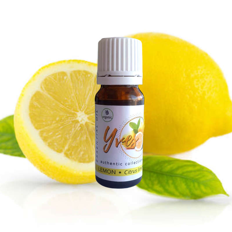 Yves Authentic Collection Aromatherapy Essential Oils Gift Set - 10ml 24 Essential Oils with 50ml...