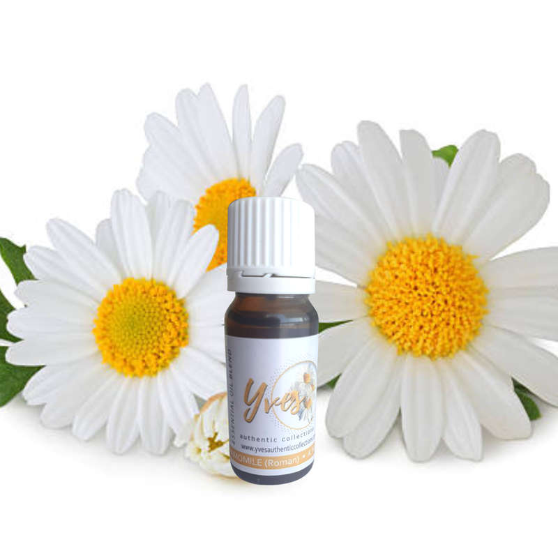 Yves Authentic Collection Aromatherapy Essential Oils Gift Set - 10ml 24 Essential Oils with 50ml...