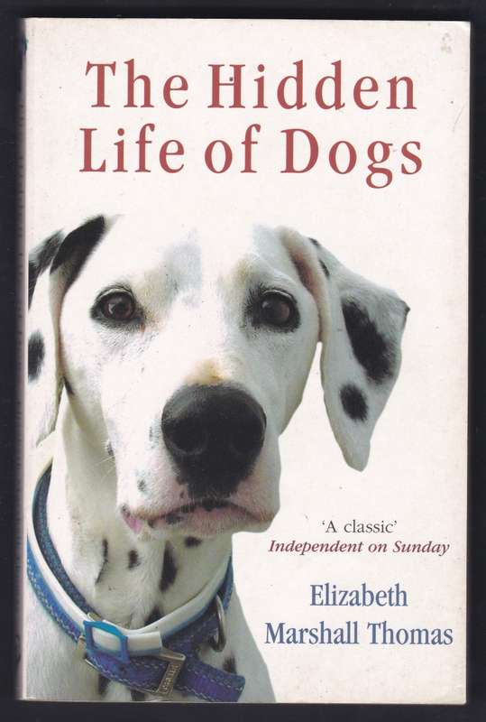 The Hidden Life Of Dogs