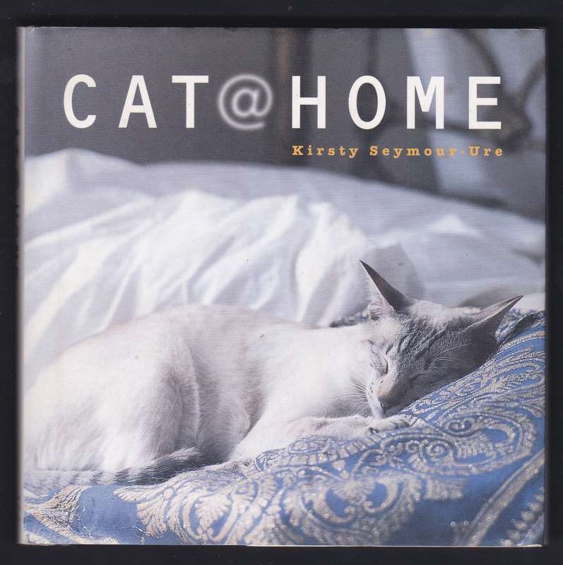 Cat At Home