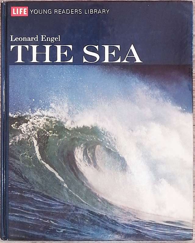 The Sea