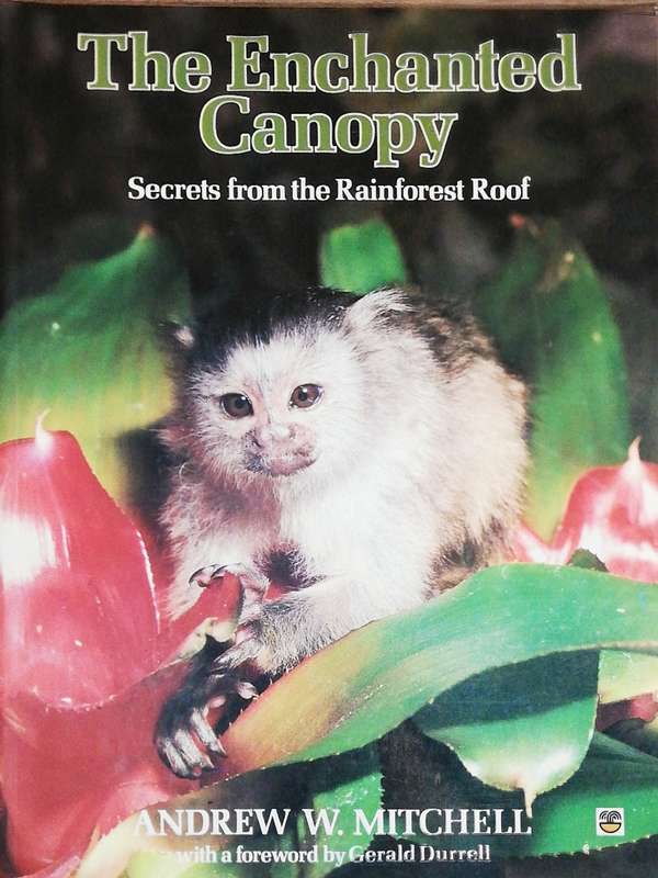 The Enchanted Canopy