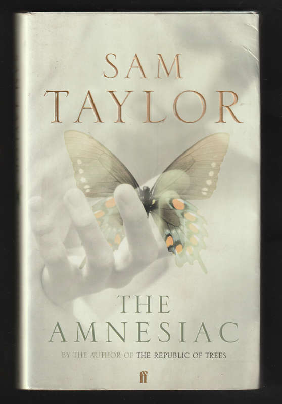 The Amnesiac By Sam Taylor