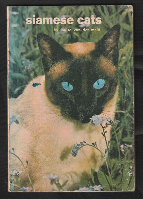 Siamese Cats By Louise van der Meid