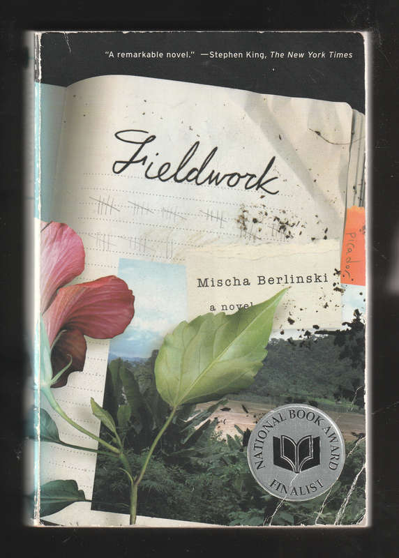 Fieldwork by Mischa Berlinski