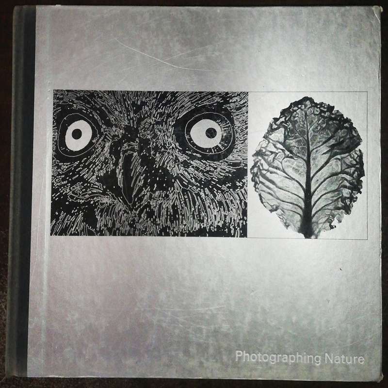 Photographing Nature By Life Library #002