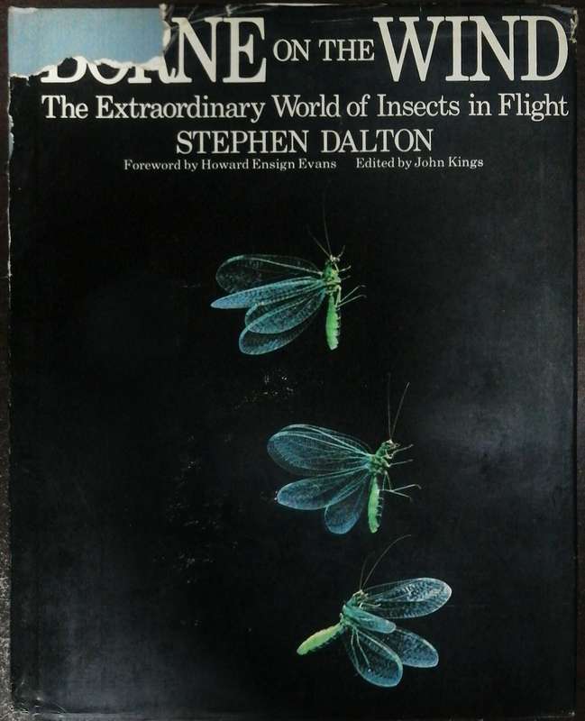 Borne On The Wind By Stephen Dalton