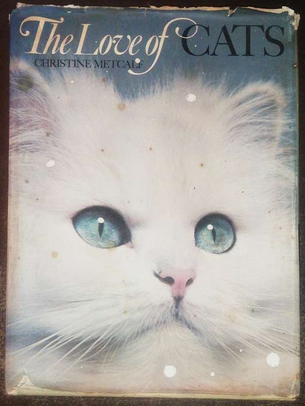 The Love Of Cats By Christine Metcalf